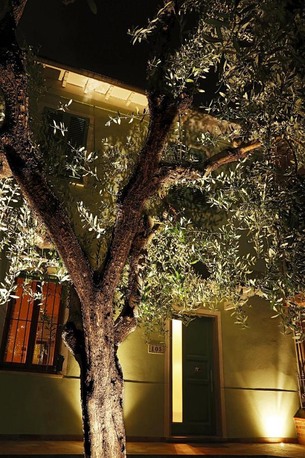 B&B Ulivo Gaio Сан-Миниато Экстерьер фото
