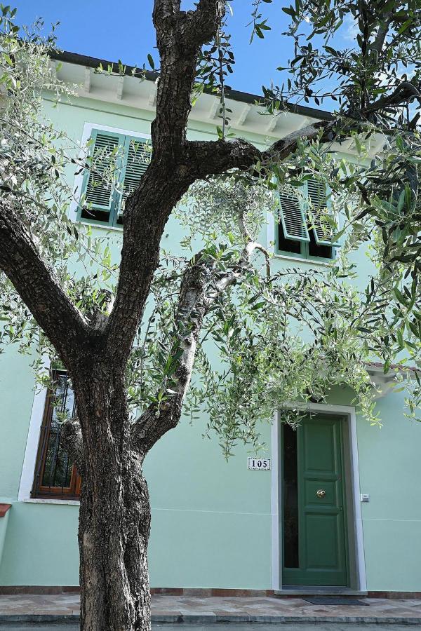 B&B Ulivo Gaio Сан-Миниато Экстерьер фото